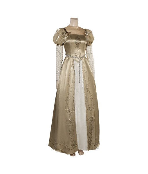 Women Golden Gown Princess Role Play Halloween Costume