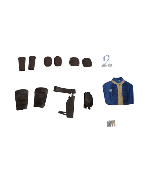 Mens Blue Shelter Full Set Outfits Halloween Costume