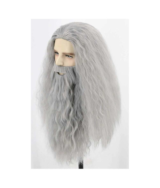 Medieval Fantasy Wise Old Man Wizard White Long Beard Wig Halloween Costume Accessories