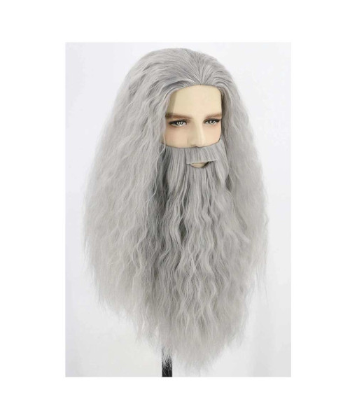 Medieval Fantasy Wise Old Man Wizard White Long Beard Wig Halloween Costume Accessories