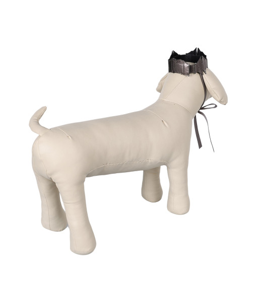 Medieval Fantasy King Crown for Pet Dog Funny Halloween Costume Accessories