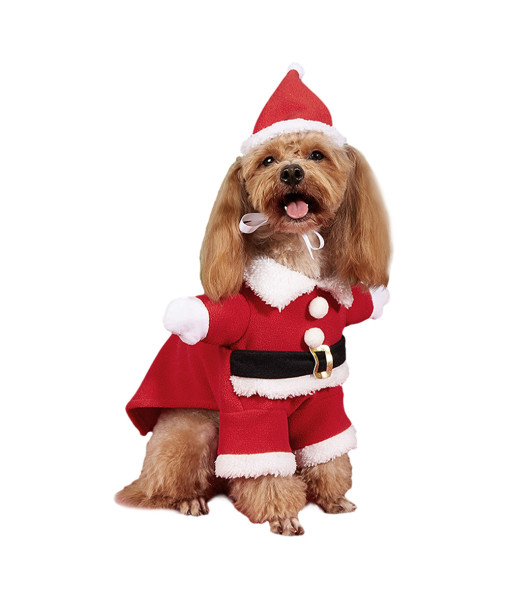 Pet Dog Funny Chirstmas Santa Claus Halloween Costume