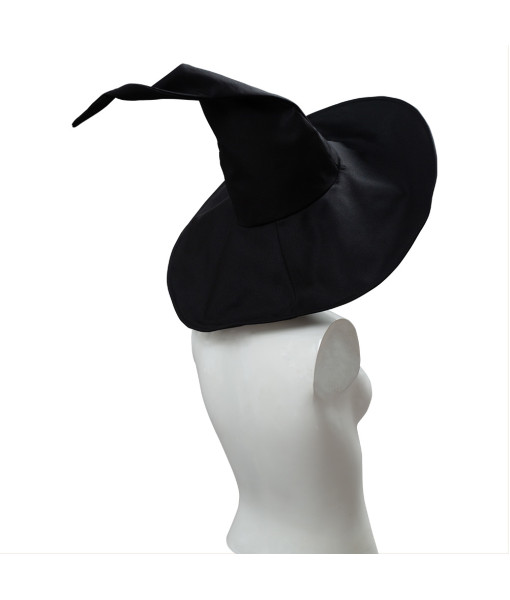 Adult Wizard Witch Pointed Hat Halloween Costume Accessories