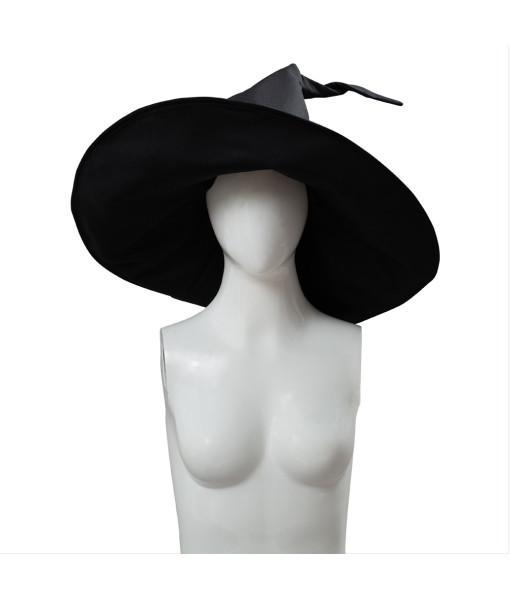 Adult Wizard Witch Pointed Hat Halloween Costume Accessories