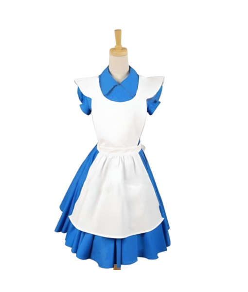 Wonderland Goldilocks Fairytales Blue Maid Dress Women Halloween Costume