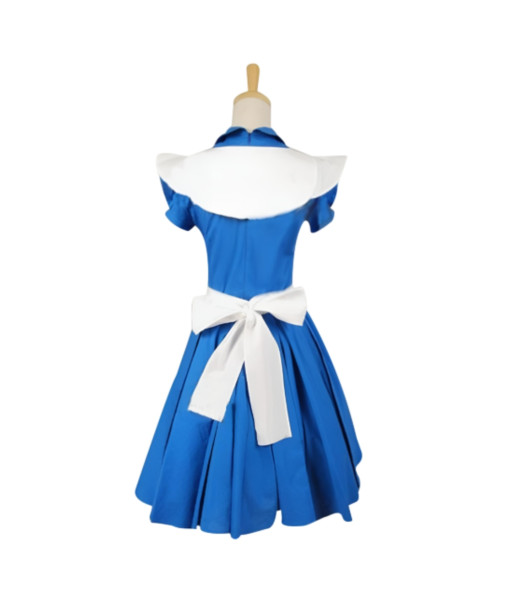 Wonderland Goldilocks Fairytales Blue Maid Dress Women Halloween Costume