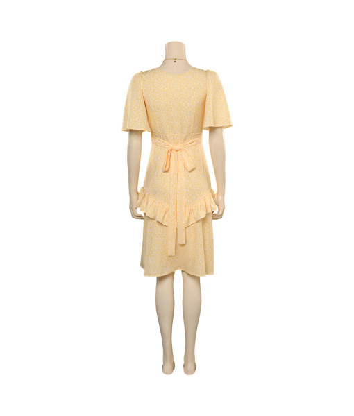 Vintage Yellow Flounced Dress Halloween Costume